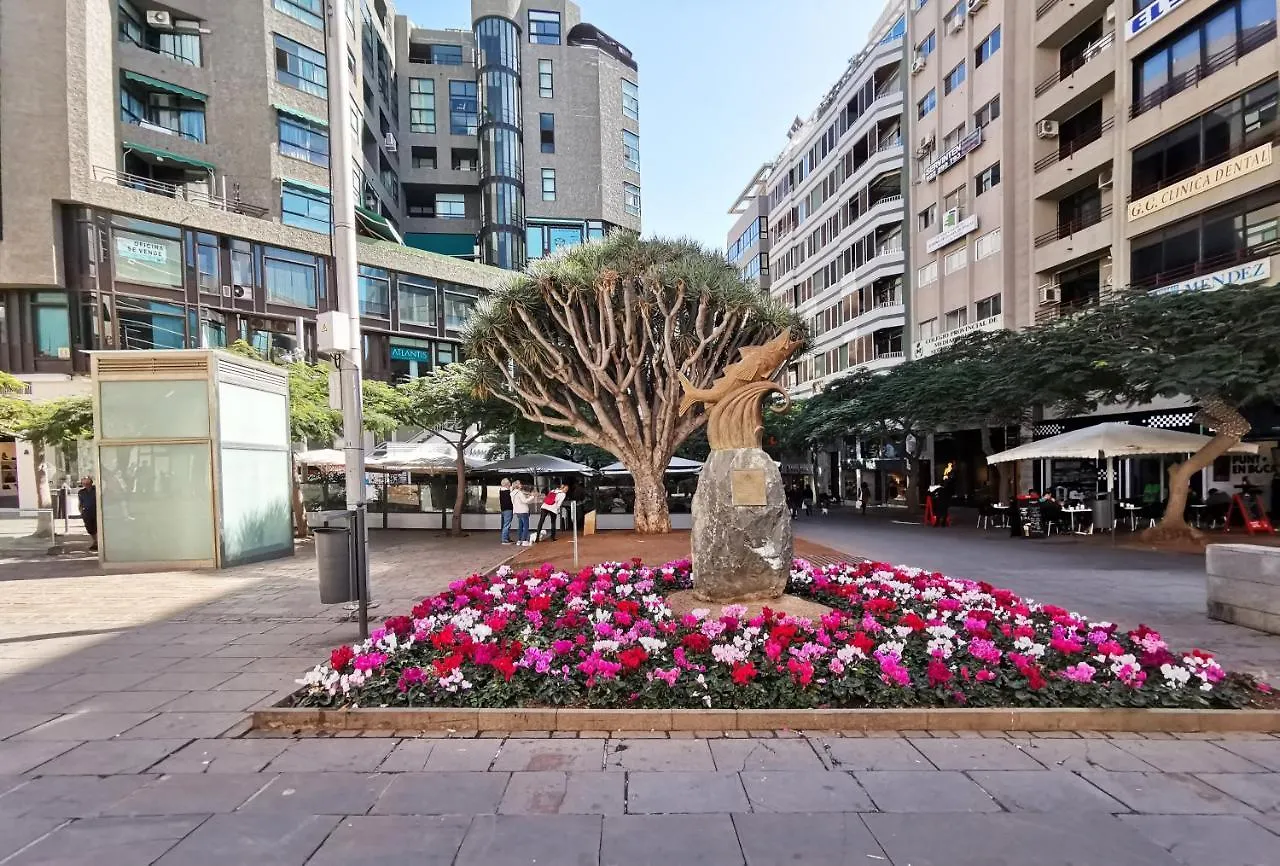 Home2Book Chic & Stylish Apt Santa Rosalia Santa Cruz de Tenerife